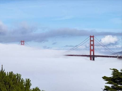 The Golden Gate Bridge emerging from the fog, seen from the cypress above the course
